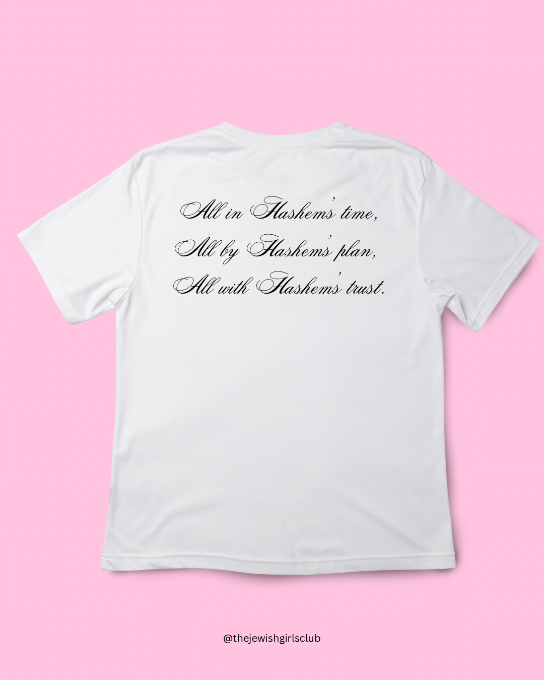 Hashem’s Plan T-shirt.